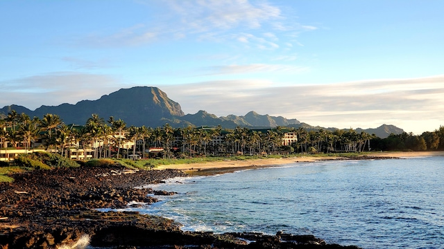 1568 Pee Rd Unit 211, Koloa, HI 96756 - water view with mountains