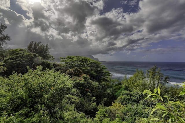 5451 Ka Haku Rd Unit 8, Princeville, HI 96722 - water view