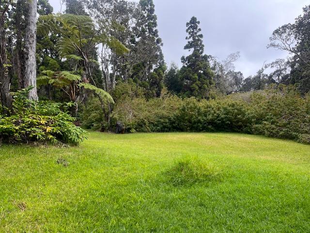 19-4142 Haunani Rd, Volcano, HI 96785 - view of grassy yard