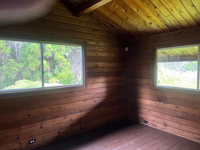 19-4142 Haunani Rd, Volcano, HI 96785 - spare room featuring wood ceiling, wood-type flooring, and wooden walls