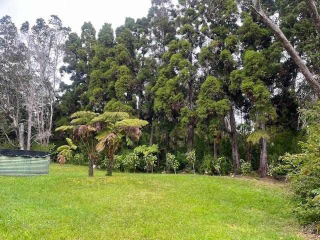 19-4142 Haunani Rd, Volcano, HI 96785 - view of green lawn