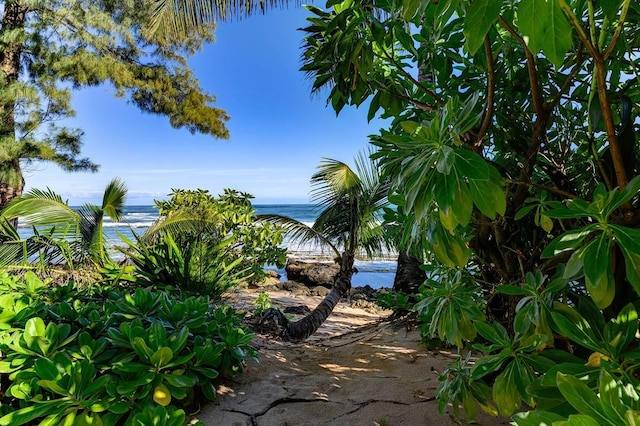 7324 Alealea Rd, Hanalei, HI 96714 - view of yard with a water view