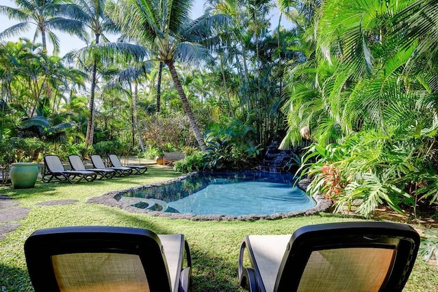 7324 Alealea Rd, Hanalei, HI 96714 - view of green lawn with an outdoor pool