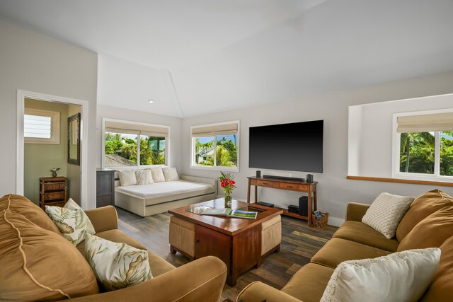 3675 Albert Rd, Princeville, HI 96722 - living room featuring healthy amount of natural light, dark wood finished floors, and vaulted ceiling