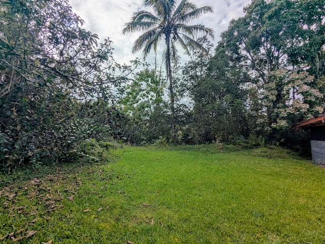 14-3426 Molokai Rd, Pahoa, HI 96778 - view of grassy yard