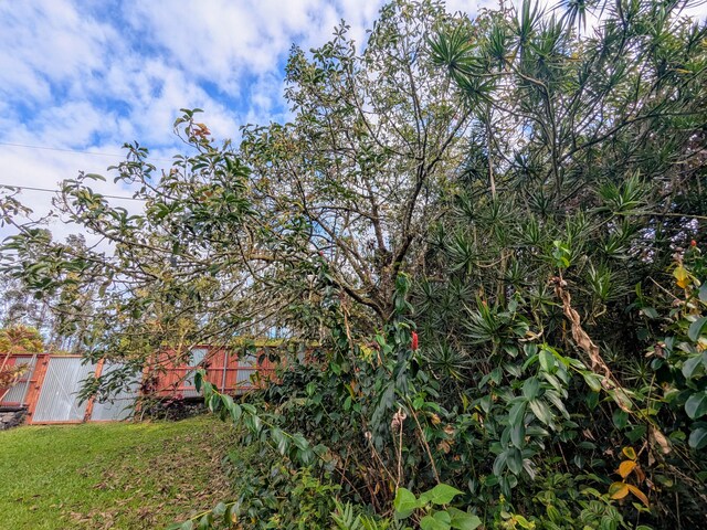 14-3426 Molokai Rd, Pahoa, HI 96778 - view of grassy yard featuring an outdoor structure