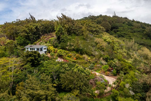 2-3963 Kaumualii Hwy Unit L, Lawai, HI 96765 - photo 26