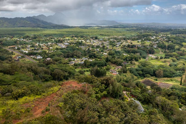 2-3963 Kaumualii Hwy Unit L, Lawai, HI 96765 - photo 28