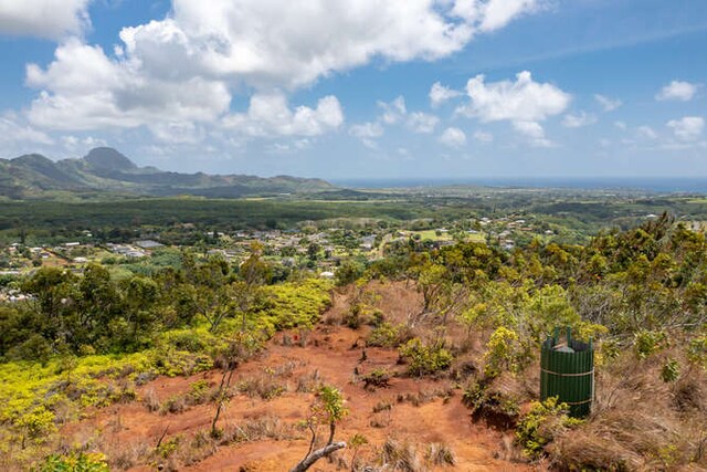 2-3963 Kaumualii Hwy Unit L, Lawai, HI 96765 - photo 29