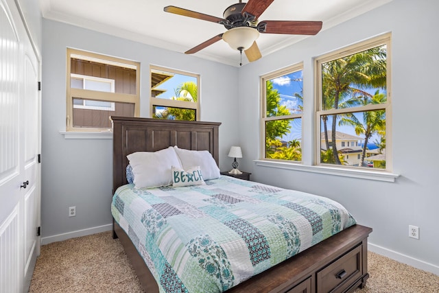 1167 Pua Melia St, Kalaheo, HI 96741 - bedroom with baseboards, carpet floors, multiple windows, and ornamental molding
