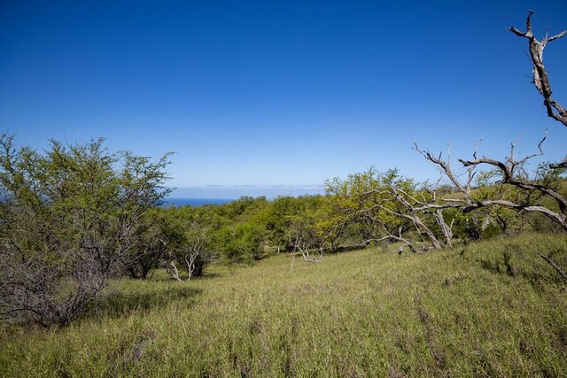 59-584 Awaa Pl, Kamuela, HI 96743 - photo 11