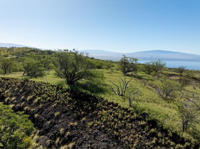 59-584 Awaa Pl, Kamuela, HI 96743 - photo 13