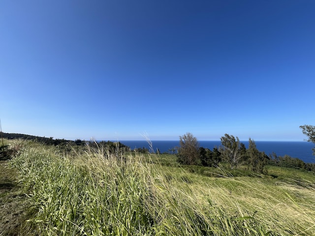 39-3195 Old Mamalahoa Hwy, Ookala, HI 96774 - photo 2