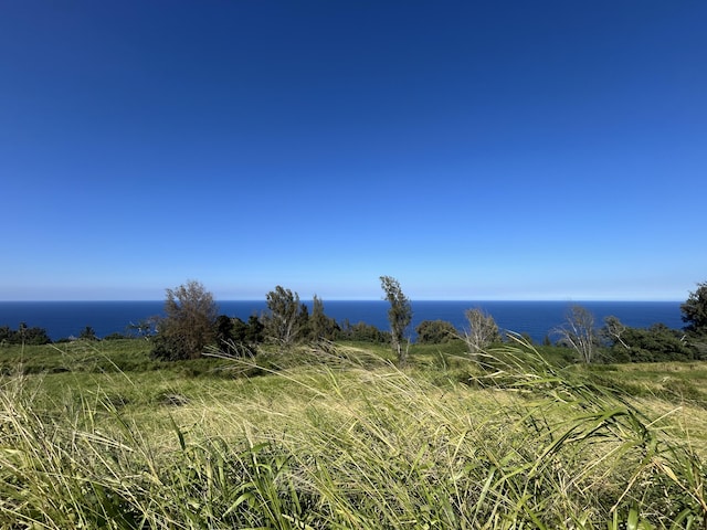 39-3195 Old Mamalahoa Hwy, Ookala, HI 96774 - photo 3