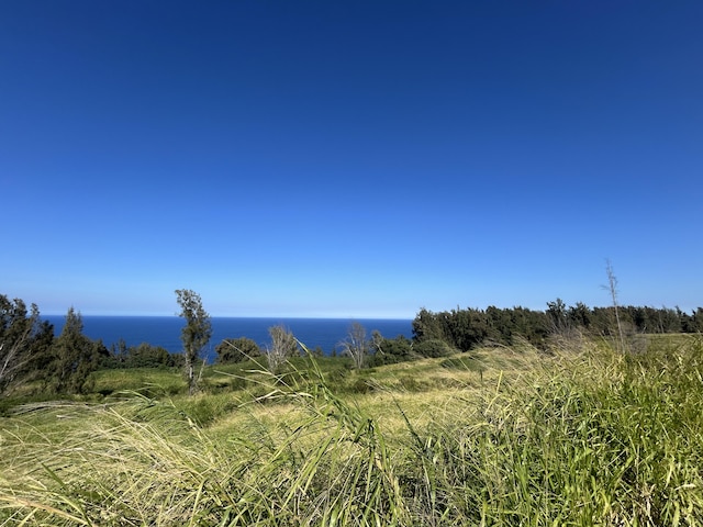 39-3195 Old Mamalahoa Hwy, Ookala, HI 96774 - photo 4