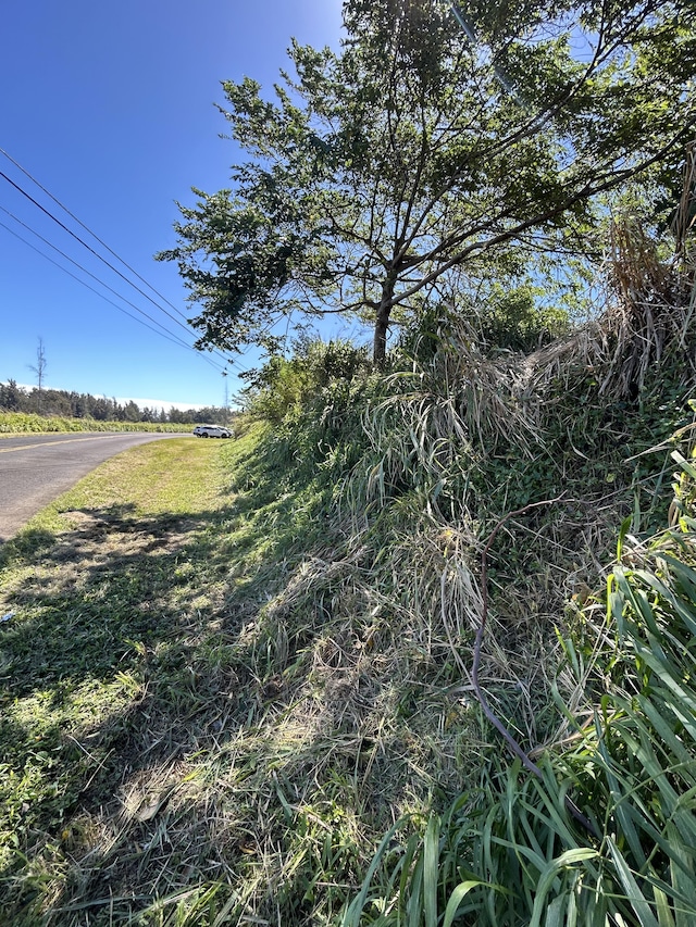 39-3195 Old Mamalahoa Hwy, Ookala, HI 96774 - photo 6