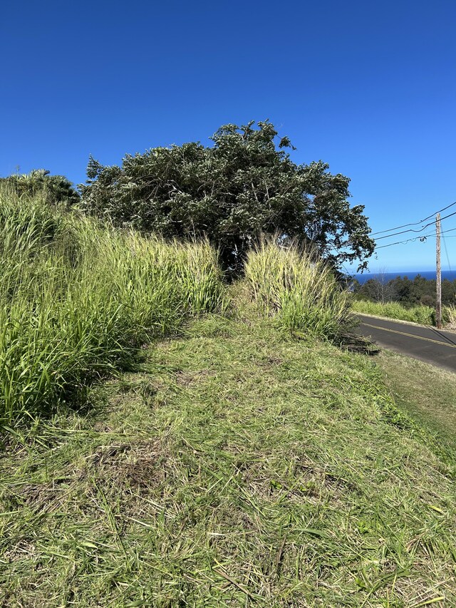 39-3195 Old Mamalahoa Hwy, Ookala, HI 96774 - photo 8