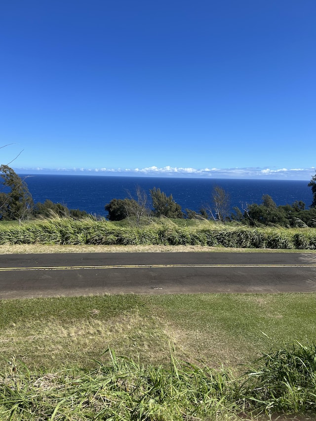 39-3195 Old Mamalahoa Hwy, Ookala, HI 96774 - photo 1