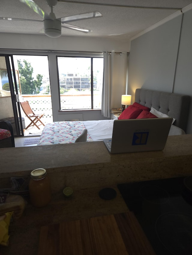 75-5680 Kuakini Hwy Unit 309, Kailua-Kona, HI 96740 - bedroom with ornamental molding