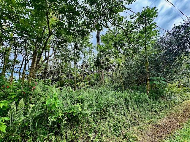Nohea St, Pahoa, HI 96778