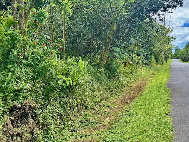 Nohea St, Pahoa, HI 96778