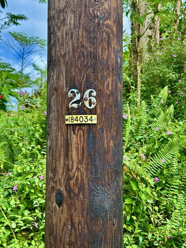 Nohea St, Pahoa, HI 96778