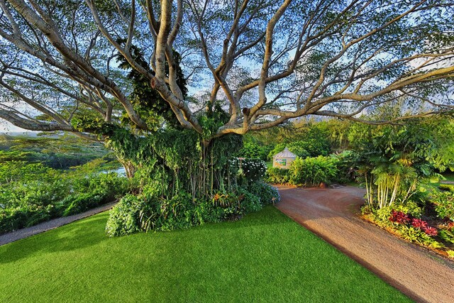 3027 Kalahiki St, Koloa, HI 96756 - photo 30