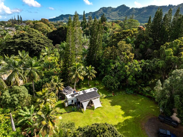 6409-A Opaekaa Rd Unit 2, Kapaa, HI 96746
