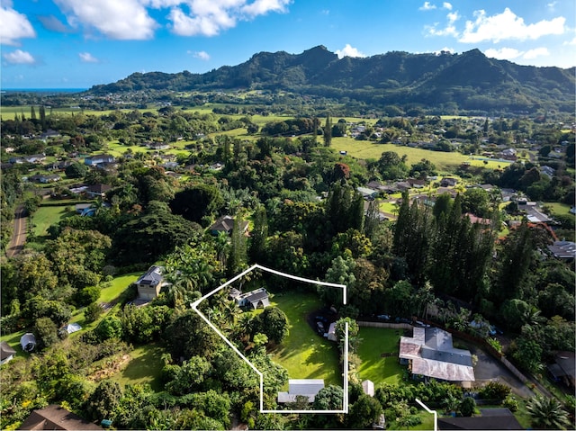 6409-A Opaekaa Rd Unit 2, Kapaa, HI 96746