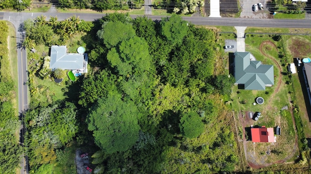 15-1508 Beach Rd, Keaau, HI 96749