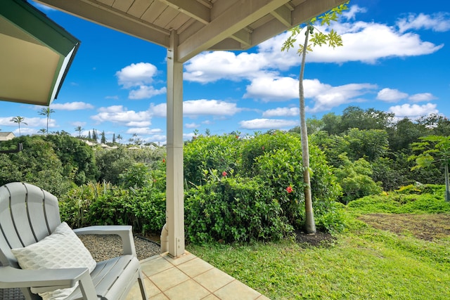5451 Ka Haku Rd Unit 25, Princeville, HI 96722 - view of patio