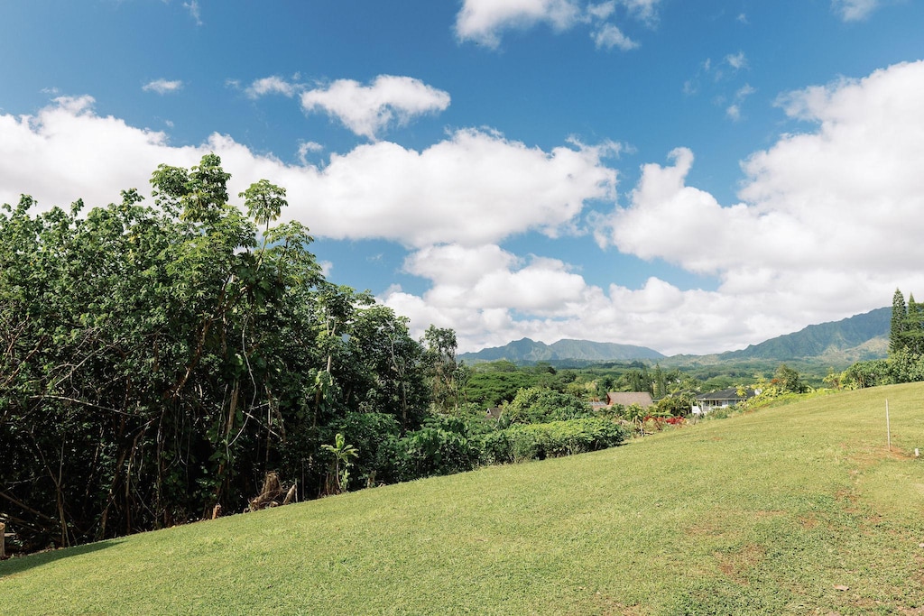 6546-D Kuamoo Rd Unit 2, Kapaa, HI 96746 - photo 4