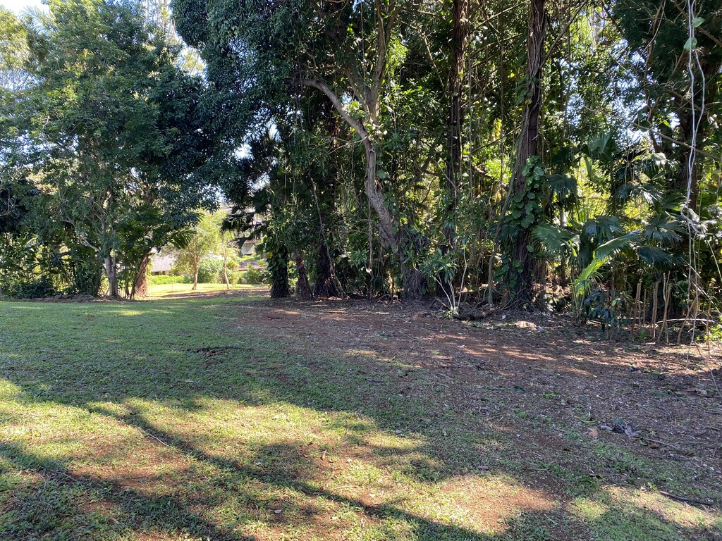 6546-D Kuamoo Rd Unit 2, Kapaa, HI 96746 - photo 2