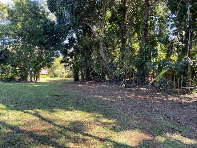 6546-D Kuamoo Rd Unit 2, Kapaa, HI 96746 - photo 2