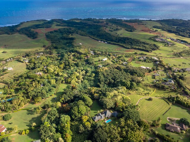 7549-A Koolau Rd, Kilauea, HI 96754 - photo 4