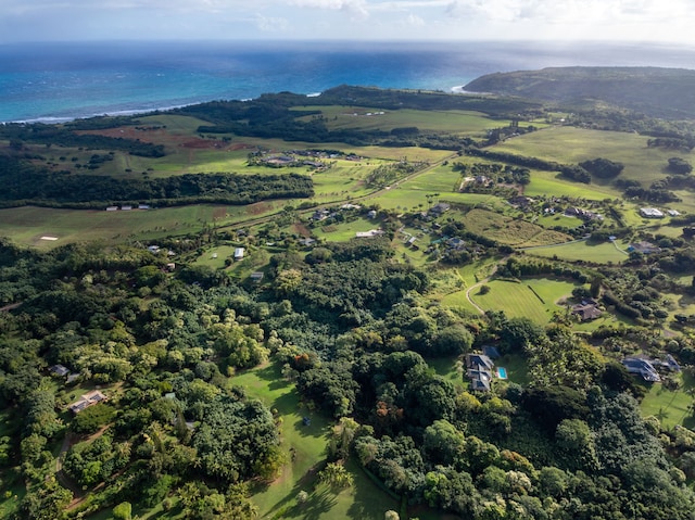 7549-A Koolau Rd, Kilauea, HI 96754 - photo 5