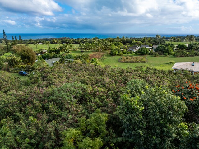 7549-A Koolau Rd, Kilauea, HI 96754 - photo 6