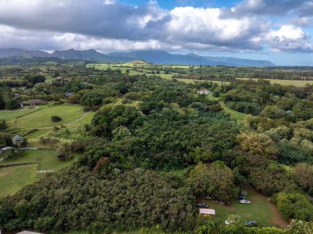 7549-A Koolau Rd, Kilauea, HI 96754 - photo 7