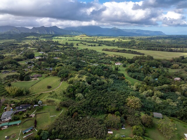 7549-A Koolau Rd, Kilauea, HI 96754 - photo 8