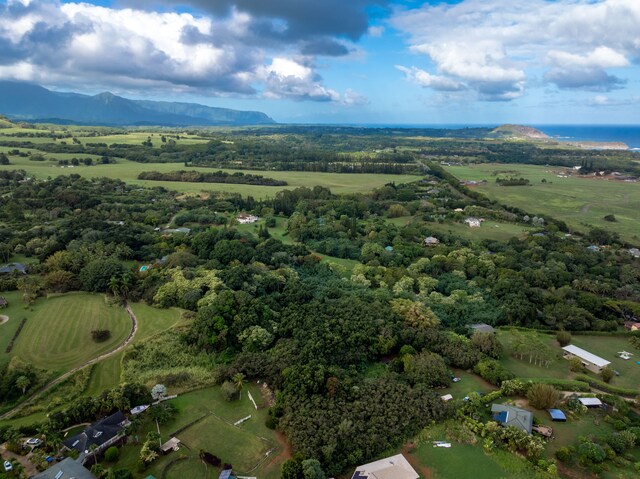 7549-A Koolau Rd, Kilauea, HI 96754 - photo 9