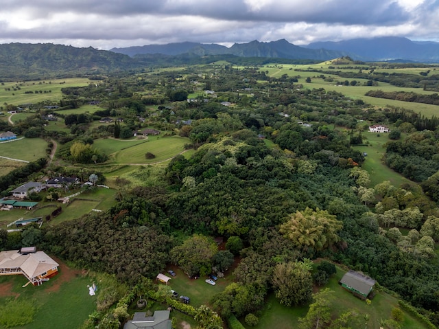 7549-A Koolau Rd, Kilauea, HI 96754 - photo 10