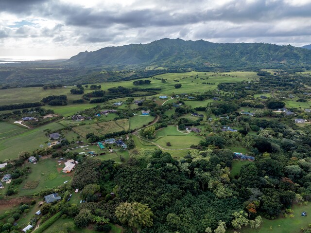 7549-A Koolau Rd, Kilauea, HI 96754 - photo 11