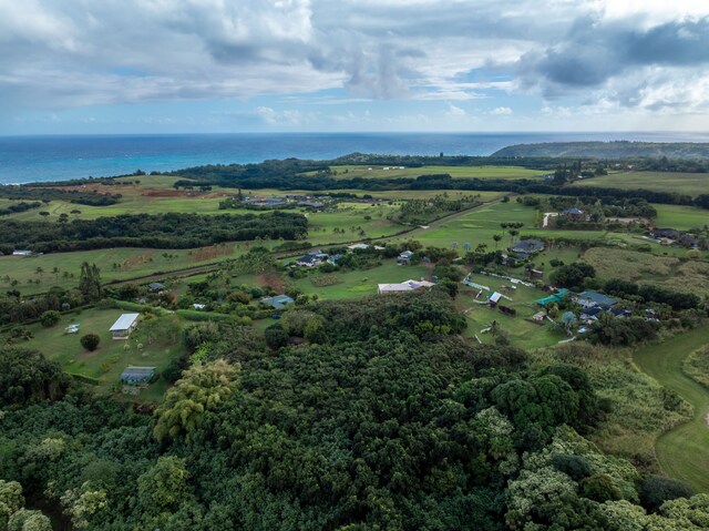 7549-A Koolau Rd, Kilauea, HI 96754 - photo 12