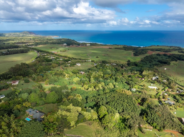 7549-A Koolau Rd, Kilauea, HI 96754 - photo 13