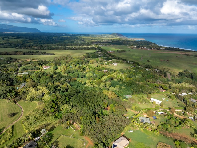 7549-A Koolau Rd, Kilauea, HI 96754 - photo 14