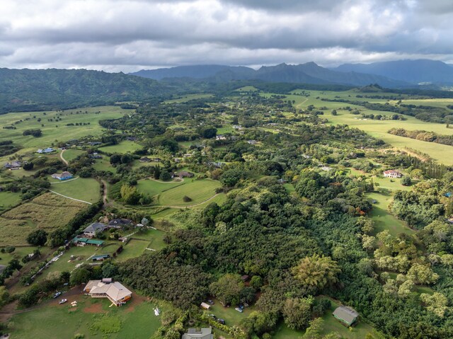 7549-A Koolau Rd, Kilauea, HI 96754 - photo 16