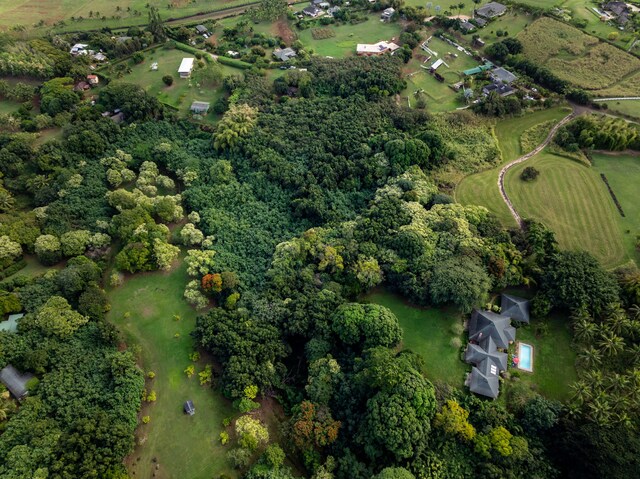 7549-A Koolau Rd, Kilauea, HI 96754 - photo 18