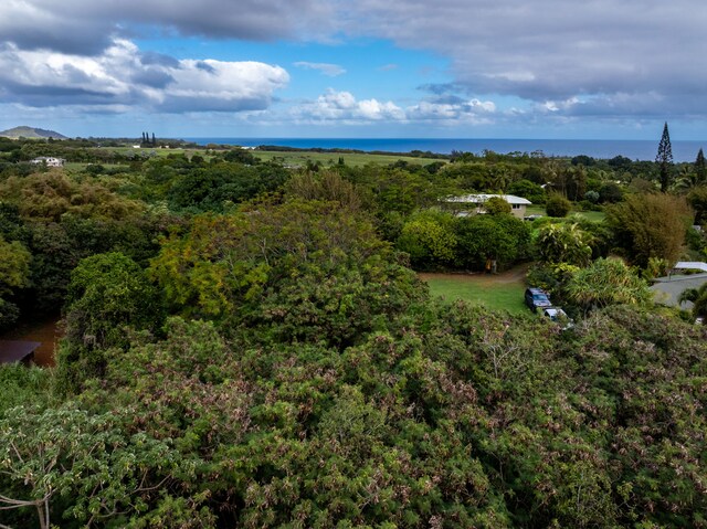 7549-A Koolau Rd, Kilauea, HI 96754 - photo 19
