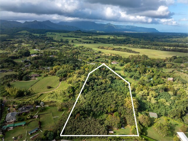 7549-A Koolau Rd, Kilauea, HI 96754 - photo 21