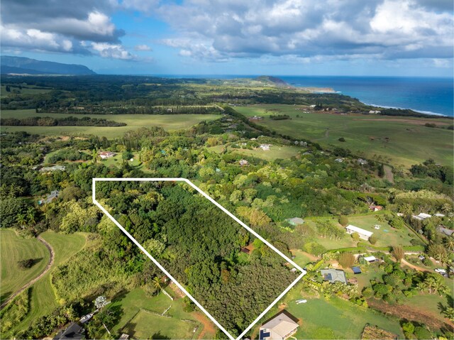 7549-A Koolau Rd, Kilauea, HI 96754 - photo 23